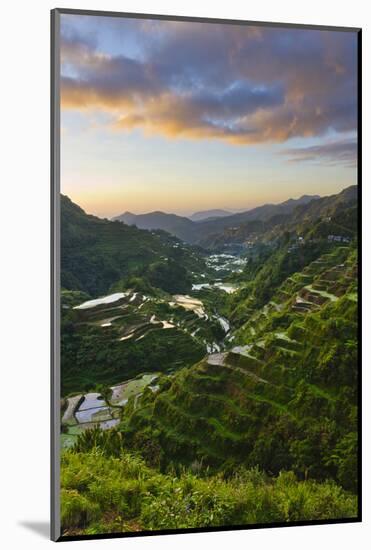 Rice Terraces, Agriculture, Philippine Cordilleras, Banaue, Ifugao, Philippines-Keren Su-Mounted Photographic Print