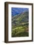 Rice Terraces, Agriculture, Philippine Cordilleras, Banaue, Ifugao, Philippines-Keren Su-Framed Photographic Print