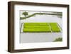 Rice Terraces, Agriculture, Philippine Cordilleras, Banaue, Ifugao, Philippines-Keren Su-Framed Photographic Print