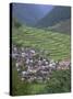 Rice Terraces and Village, Banaue, Unesco World Heritage Site, Luzon, Philippines-Christian Kober-Stretched Canvas