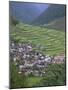 Rice Terraces and Village, Banaue, Unesco World Heritage Site, Luzon, Philippines-Christian Kober-Mounted Photographic Print