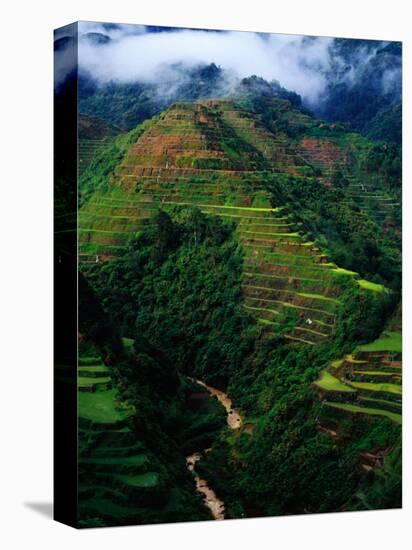 Rice Terraces Around Banaue, Banaue, Philippines-Richard I'Anson-Stretched Canvas