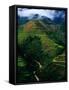 Rice Terraces Around Banaue, Banaue, Philippines-Richard I'Anson-Framed Stretched Canvas