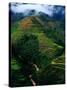 Rice Terraces Around Banaue, Banaue, Philippines-Richard I'Anson-Stretched Canvas