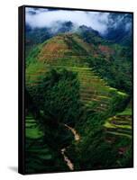 Rice Terraces Around Banaue, Banaue, Philippines-Richard I'Anson-Framed Stretched Canvas