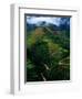 Rice Terraces Around Banaue, Banaue, Philippines-Richard I'Anson-Framed Photographic Print