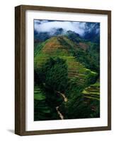 Rice Terraces Around Banaue, Banaue, Philippines-Richard I'Anson-Framed Photographic Print