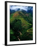 Rice Terraces Around Banaue, Banaue, Philippines-Richard I'Anson-Framed Photographic Print