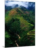 Rice Terraces Around Banaue, Banaue, Philippines-Richard I'Anson-Mounted Photographic Print