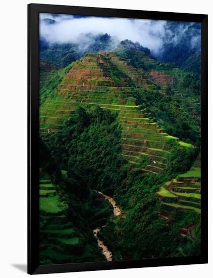 Rice Terraces Around Banaue, Banaue, Philippines-Richard I'Anson-Framed Photographic Print