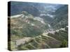 Rice Terraces at Banaue, Unesco World Heritage Site, Northern Region, Island of Luzon, Philippines-Bruno Barbier-Stretched Canvas