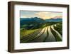 Rice Terraces at Mu Cang Chai, Vietnam-Chan Srithaweeporn-Framed Photographic Print