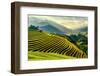 Rice Terraces at Mu Cang Chai , Vietnam-Chan Srithaweeporn-Framed Photographic Print