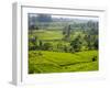 Rice terraces, Bali, Indonesia, Southeast Asia, Asia-Melissa Kuhnell-Framed Photographic Print