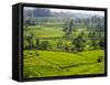 Rice terraces, Bali, Indonesia, Southeast Asia, Asia-Melissa Kuhnell-Framed Stretched Canvas