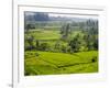 Rice terraces, Bali, Indonesia, Southeast Asia, Asia-Melissa Kuhnell-Framed Photographic Print