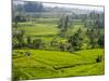 Rice terraces, Bali, Indonesia, Southeast Asia, Asia-Melissa Kuhnell-Mounted Photographic Print