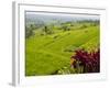 Rice terraces, Bali, Indonesia, Southeast Asia, Asia-Melissa Kuhnell-Framed Photographic Print