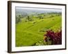 Rice terraces, Bali, Indonesia, Southeast Asia, Asia-Melissa Kuhnell-Framed Photographic Print