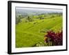 Rice terraces, Bali, Indonesia, Southeast Asia, Asia-Melissa Kuhnell-Framed Photographic Print