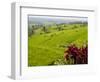 Rice terraces, Bali, Indonesia, Southeast Asia, Asia-Melissa Kuhnell-Framed Photographic Print