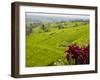 Rice terraces, Bali, Indonesia, Southeast Asia, Asia-Melissa Kuhnell-Framed Photographic Print