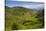 Rice Terraces from Bontoc to Banaue, Luzon, Philippines-Michael Runkel-Stretched Canvas