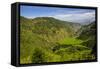 Rice Terraces from Bontoc to Banaue, Luzon, Philippines-Michael Runkel-Framed Stretched Canvas