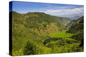 Rice Terraces from Bontoc to Banaue, Luzon, Philippines-Michael Runkel-Stretched Canvas