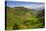 Rice Terraces from Bontoc to Banaue, Luzon, Philippines-Michael Runkel-Stretched Canvas