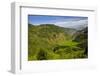 Rice Terraces from Bontoc to Banaue, Luzon, Philippines-Michael Runkel-Framed Photographic Print