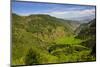 Rice Terraces from Bontoc to Banaue, Luzon, Philippines-Michael Runkel-Mounted Photographic Print