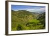 Rice Terraces from Bontoc to Banaue, Luzon, Philippines-Michael Runkel-Framed Photographic Print