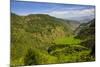 Rice Terraces from Bontoc to Banaue, Luzon, Philippines-Michael Runkel-Mounted Photographic Print