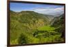 Rice Terraces from Bontoc to Banaue, Luzon, Philippines-Michael Runkel-Framed Photographic Print