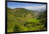 Rice Terraces from Bontoc to Banaue, Luzon, Philippines-Michael Runkel-Framed Photographic Print