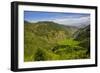 Rice Terraces from Bontoc to Banaue, Luzon, Philippines-Michael Runkel-Framed Photographic Print