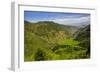 Rice Terraces from Bontoc to Banaue, Luzon, Philippines-Michael Runkel-Framed Photographic Print