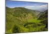 Rice Terraces from Bontoc to Banaue, Luzon, Philippines-Michael Runkel-Mounted Photographic Print