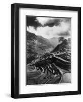 Rice Terraces in the Philippines Photograph - Philippines-Lantern Press-Framed Art Print