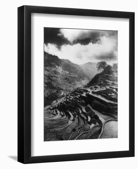 Rice Terraces in the Philippines Photograph - Philippines-Lantern Press-Framed Art Print