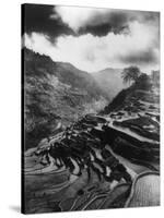 Rice Terraces in the Philippines Photograph - Philippines-Lantern Press-Stretched Canvas