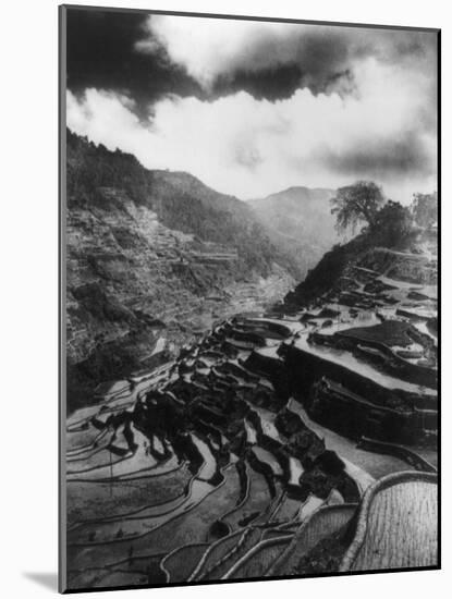 Rice Terraces in the Philippines Photograph - Philippines-Lantern Press-Mounted Art Print