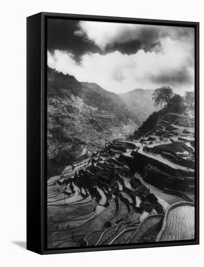 Rice Terraces in the Philippines Photograph - Philippines-Lantern Press-Framed Stretched Canvas