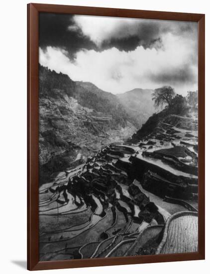 Rice Terraces in the Philippines Photograph - Philippines-Lantern Press-Framed Art Print