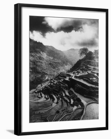 Rice Terraces in the Philippines Photograph - Philippines-Lantern Press-Framed Art Print