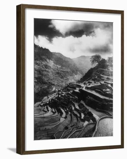 Rice Terraces in the Philippines Photograph - Philippines-Lantern Press-Framed Art Print