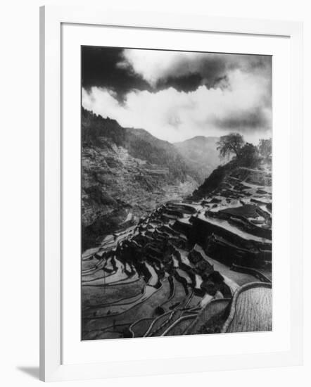 Rice Terraces in the Philippines Photograph - Philippines-Lantern Press-Framed Art Print