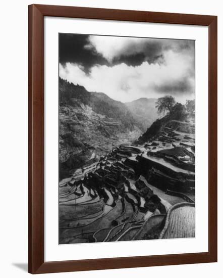 Rice Terraces in the Philippines Photograph - Philippines-Lantern Press-Framed Art Print