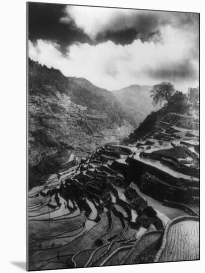 Rice Terraces in the Philippines Photograph - Philippines-Lantern Press-Mounted Art Print